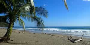 Tamarindo